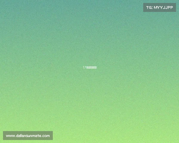 17年全明星谁赢了