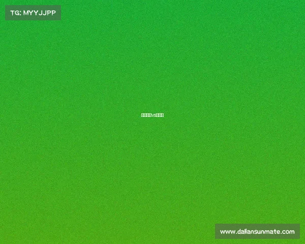 小查维兹vs席尔瓦